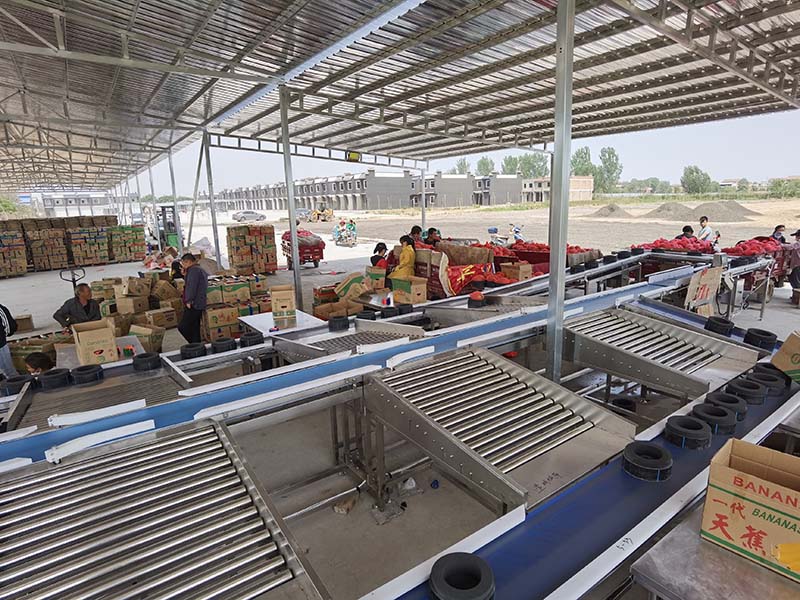 哈密瓜分選機(jī)、重量分選機(jī)、分級(jí)機(jī)、分揀機(jī)