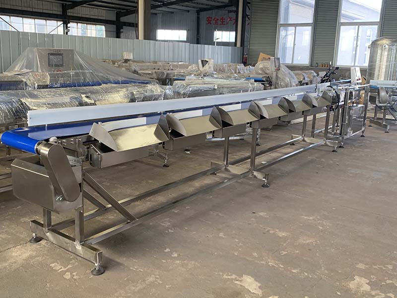 白條鮮品雞重量分選機(jī)，皮帶式重量分選機(jī)