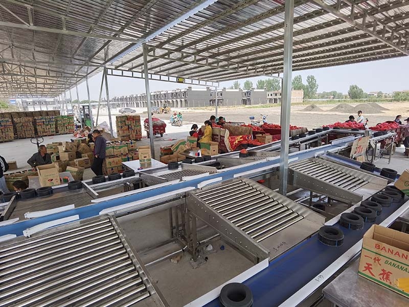 哈密瓜分選機(jī)、重量分選機(jī)、分級(jí)機(jī)、分揀機(jī)