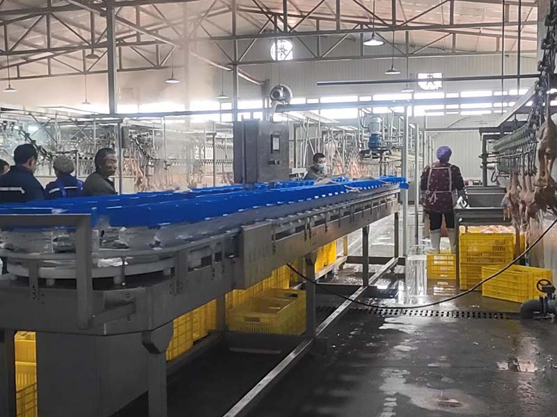 料盒分選機(jī)（白條雞鴨、雞瓜、雞脖、翅中、海參、海蠣子、牡蠣、小龍蝦）