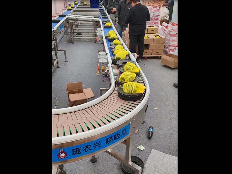 水果分選機(jī)（橙子、柑橘）