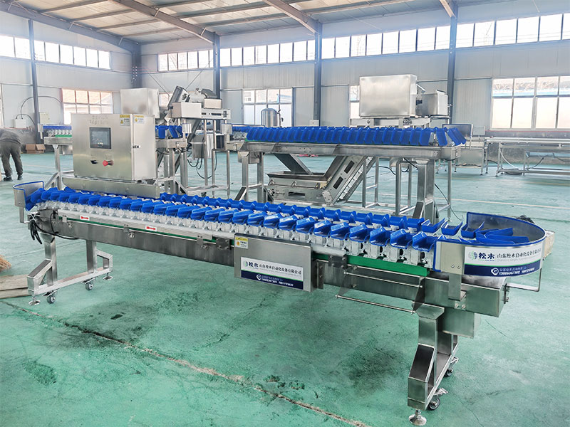 海蠣子、海參、海產(chǎn)品分選機(jī)