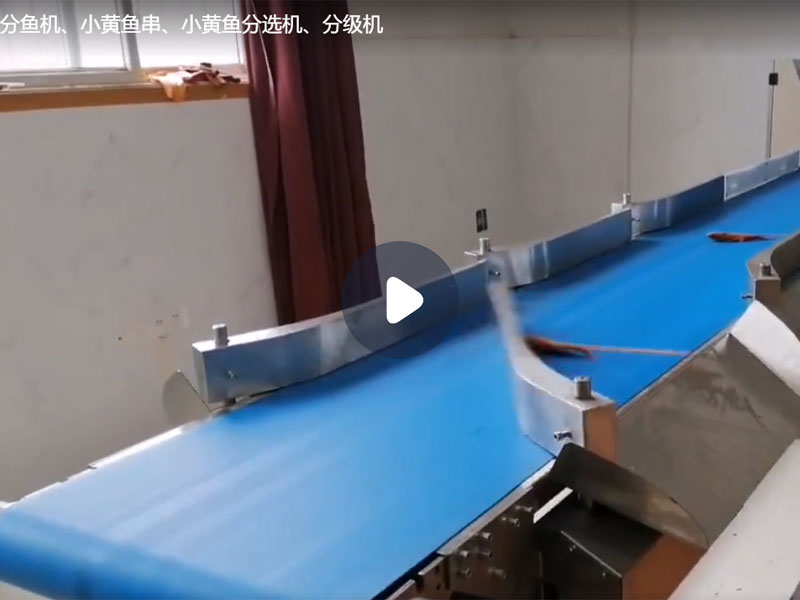 分魚(yú)機(jī)、小黃魚(yú)串、小黃魚(yú)分選機(jī)、分級(jí)機(jī)