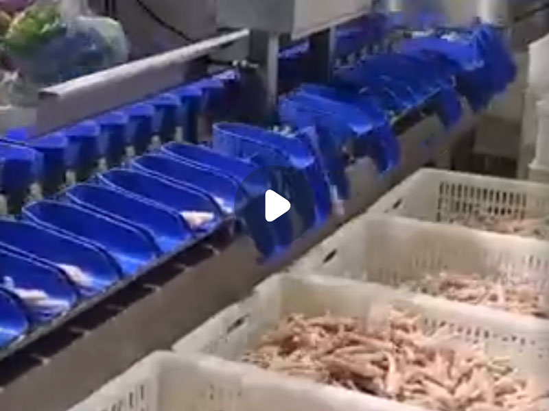 雞翅、雞爪、翅中、雞胗、家禽分割產(chǎn)品分選機(jī)