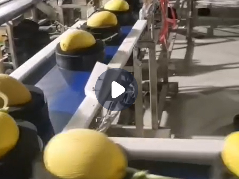 哈密瓜分選機(jī)、重量分選機(jī)、分級(jí)機(jī)、分揀機(jī)