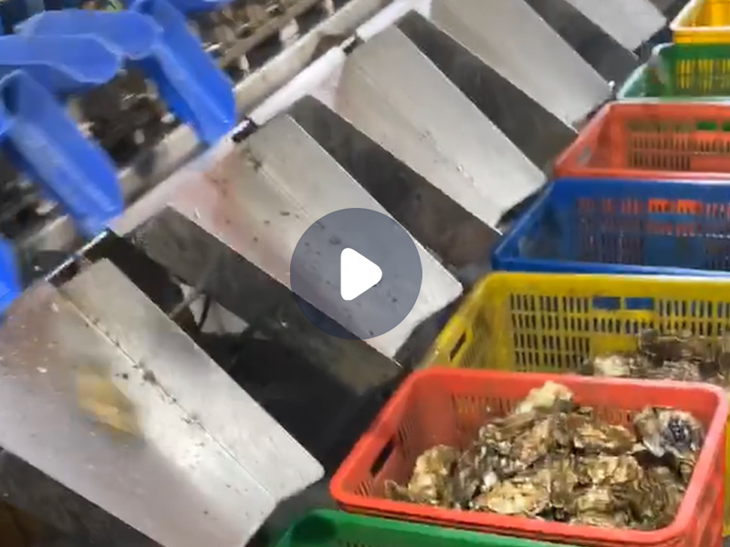 海蠣子、海參、海產(chǎn)品分選機(jī)